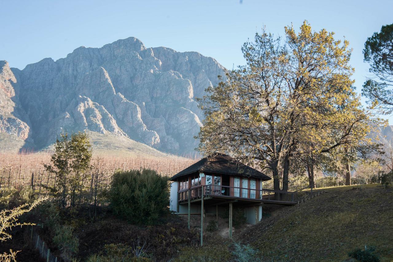 Maison d'hôtes Tulbagh Mountain Manor à Le Cap Extérieur photo