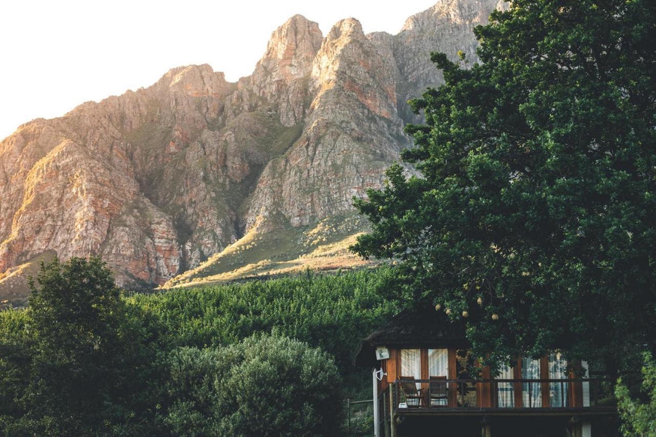 Maison d'hôtes Tulbagh Mountain Manor à Le Cap Extérieur photo